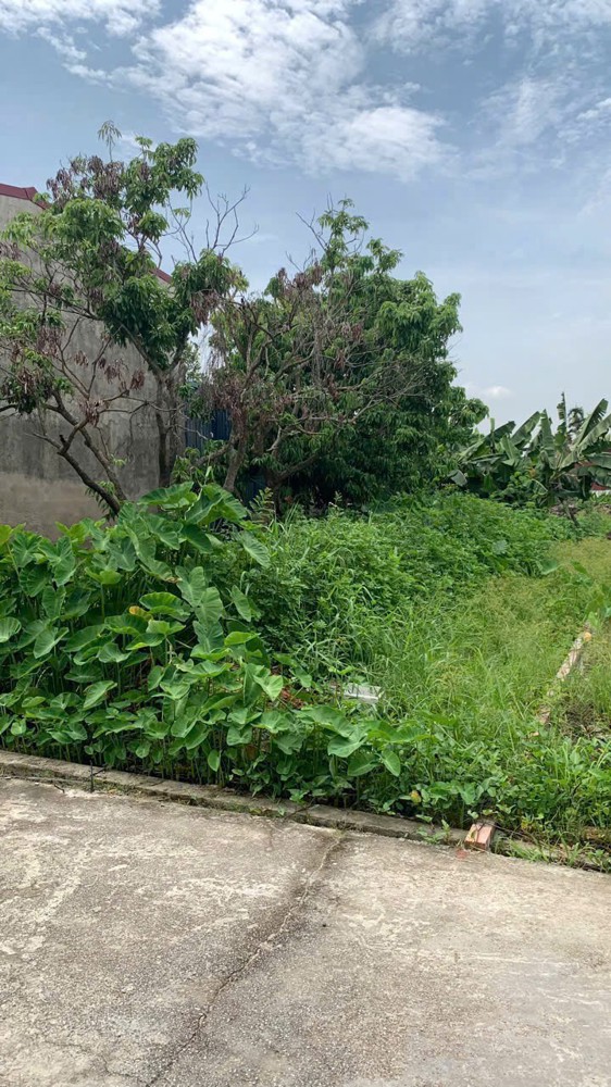 117m² 2 MẶT NGÕ – GẦN TL402 – GIÁ 1.7x TỶ – LÔ HIẾM KHU DÂN CƯ  ZALO 0567 222 555