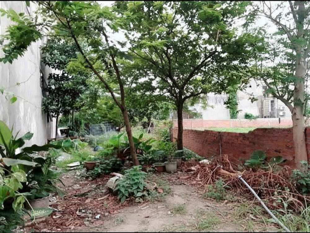 H1710 💥💥 đất Nở hậu Lê Văn Khương Q12, 233m2, SHR, 7.x tỷ