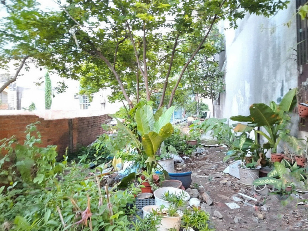 H1710 💥💥 đất Nở hậu Lê Văn Khương Q12, 233m2, SHR, 7.x tỷ