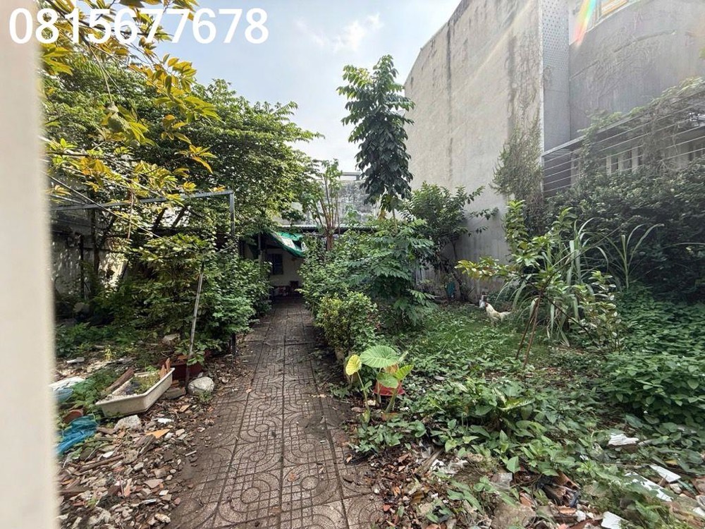 💥 ΒÁn Đất LớN QuậΝ 7 – HẻΜ NGUƳỄn Thị Thập