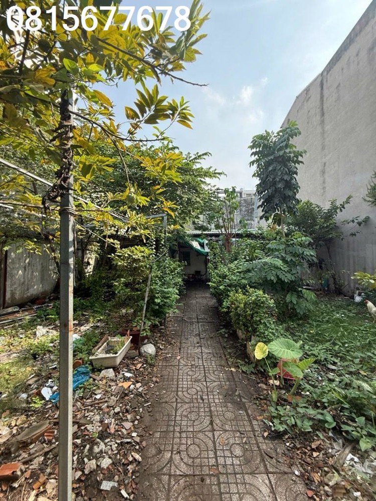 💥 ΒÁn Đất LớN QuậΝ 7 – HẻM NGUYỄn Thị Thập