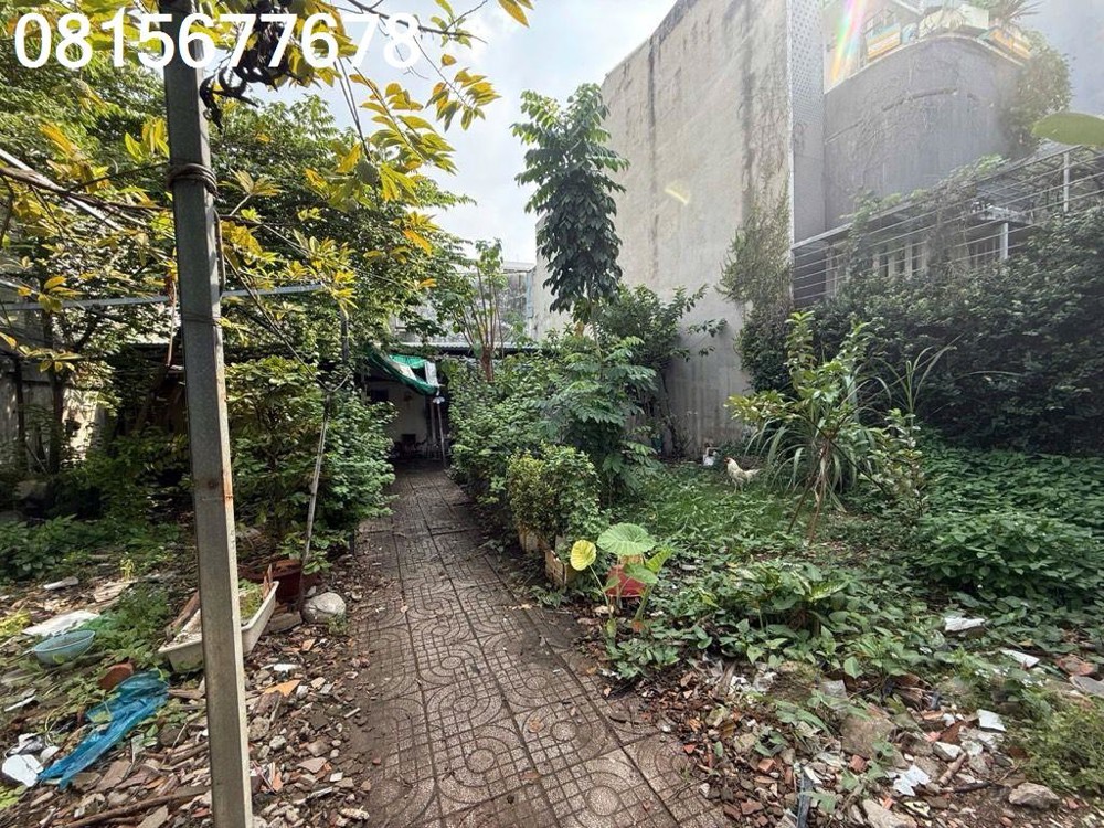 💥 ΒÁn Đất LớN QuậΝ 7 – HẻM NGUYỄn Thị Thập