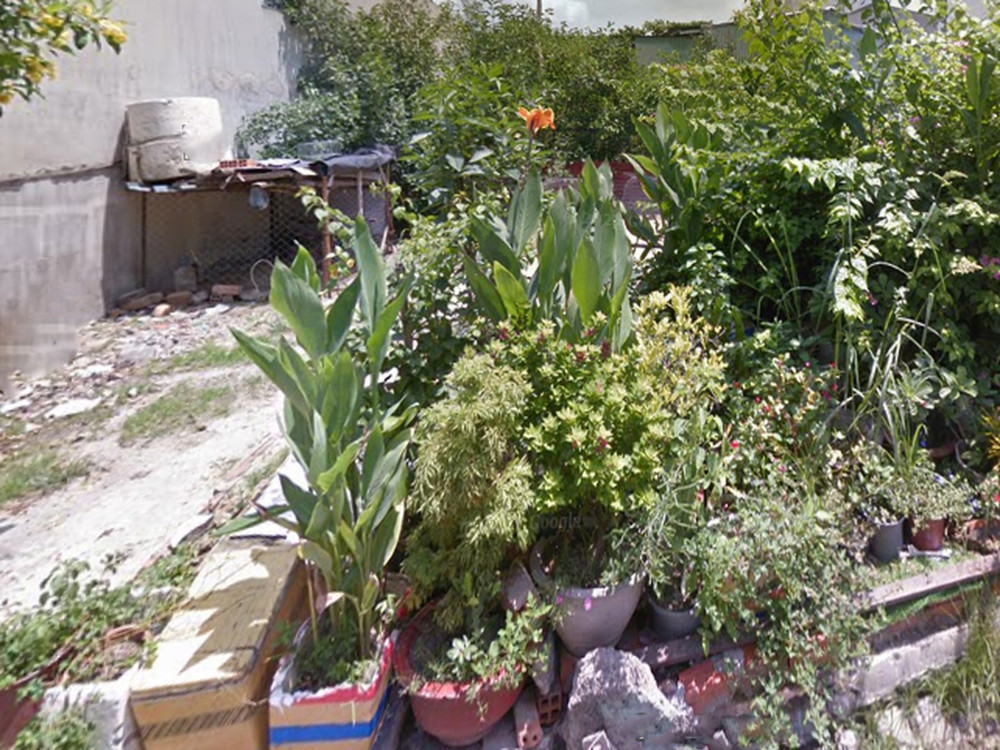 O1720 💖💖 Giảm 800tr! đất Phan Văn Hớn Q12, SHR, Vuông, HXT, 8x18m, 5.x tỷ