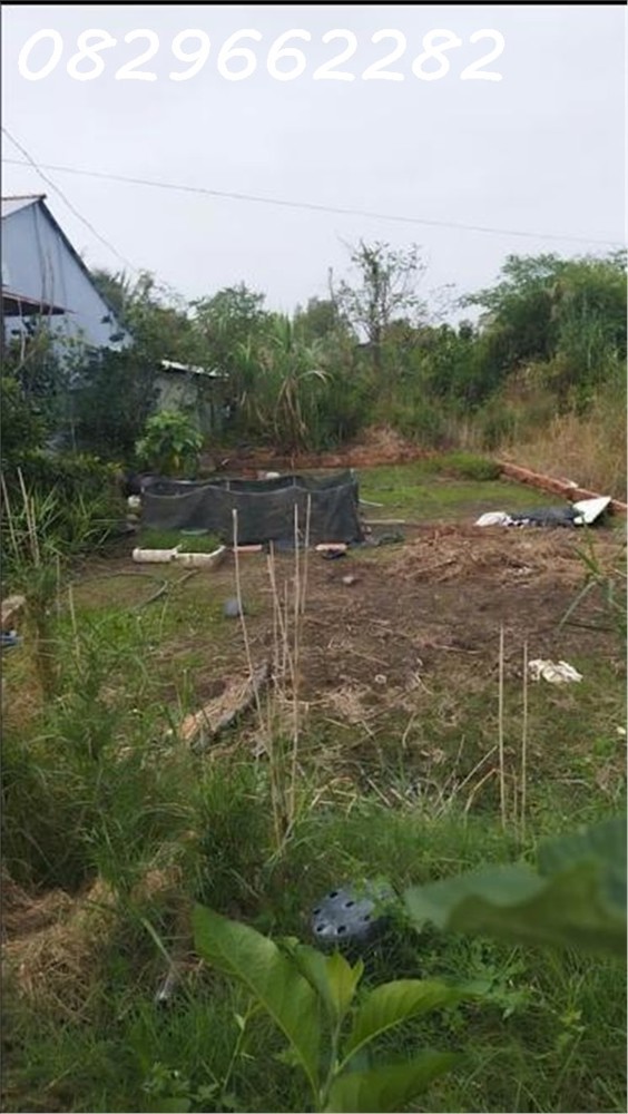 Bán Đất Thổ Cư 143m² Ngã Am, An Hòa, TP Sa Đéc. Sổ Hồng, Hướng Đông, Giá 1.7 Tỷ