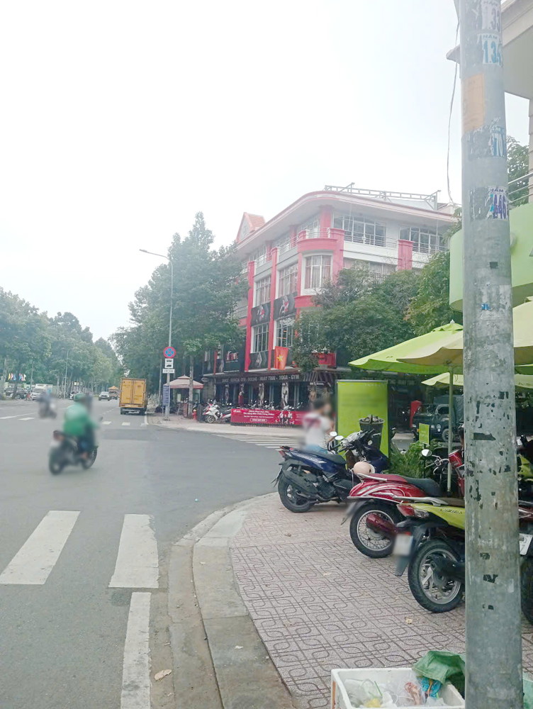 Bán căn biệt thự và 1 lô đất mặt tiền đường Dương Quang Đông P5 Q8