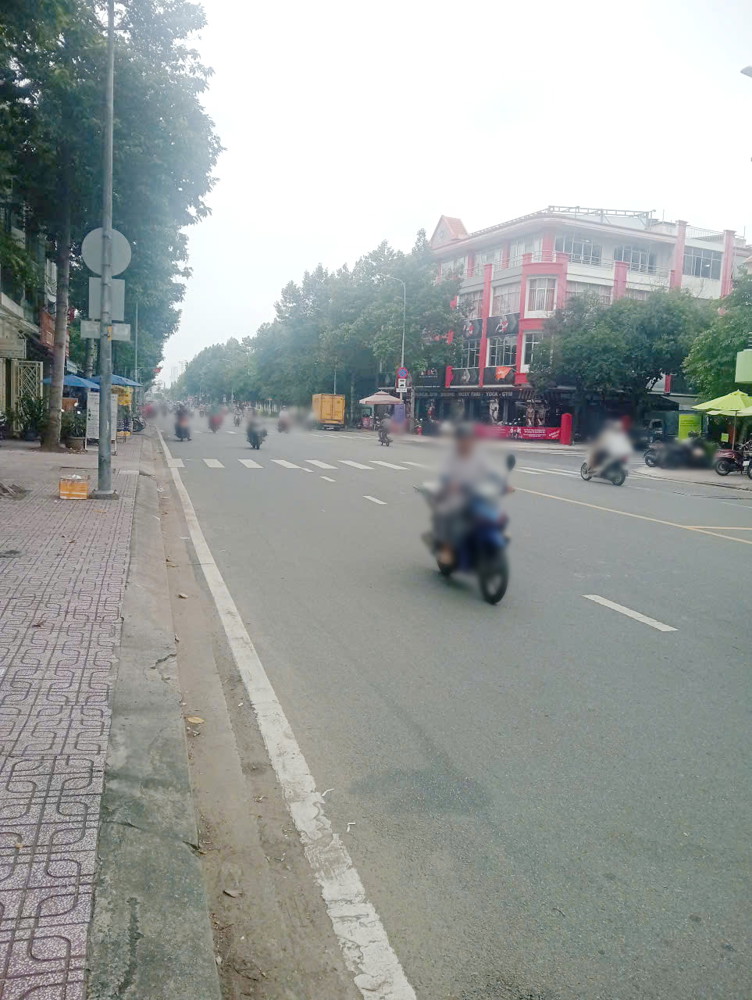 Bán căn biệt thự và 1 lô đất mặt tiền đường Dương Quang Đông P5 Q8