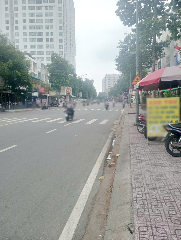 Bán căn biệt thự và 1 lô đất mặt tiền đường Dương Quang Đông P5 Q8