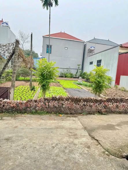 MUỐN BÁN GẤP 51.5M ĐẤT TÍCH GIANG _ PHÚC THỌ _ HÀ NỘI