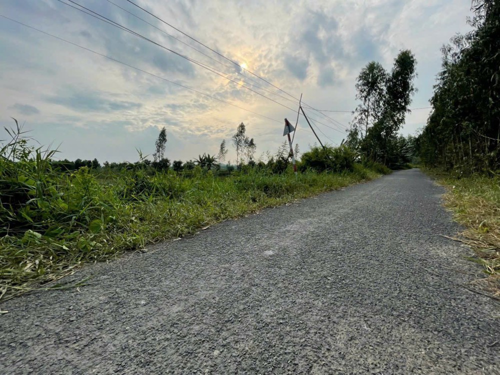 ĐẤT ĐẸP- GIÁ TỐT CẦN BÁN NHANH NỀN THỔ CƯ MẶT TIỀN ĐƯỜNG NHỰA tại huyện Thanh Bình, tỉnh Đồng Tháp