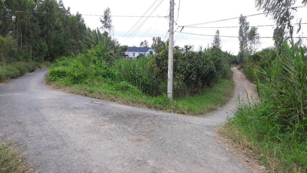 ĐẤT ĐẸP- GIÁ TỐT CẦN BÁN NHANH NỀN THỔ CƯ MẶT TIỀN ĐƯỜNG NHỰA tại huyện Thanh Bình, tỉnh Đồng Tháp