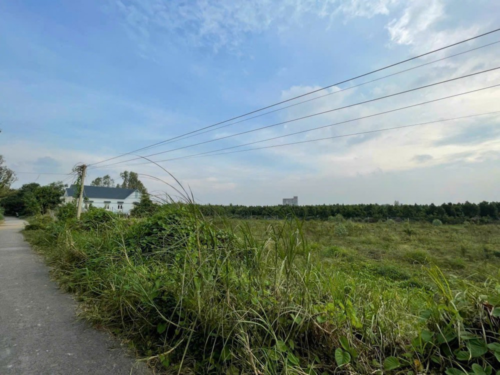 ĐẤT ĐẸP- GIÁ TỐT CẦN BÁN NHANH NỀN THỔ CƯ MẶT TIỀN ĐƯỜNG NHỰA tại huyện Thanh Bình, tỉnh Đồng Tháp