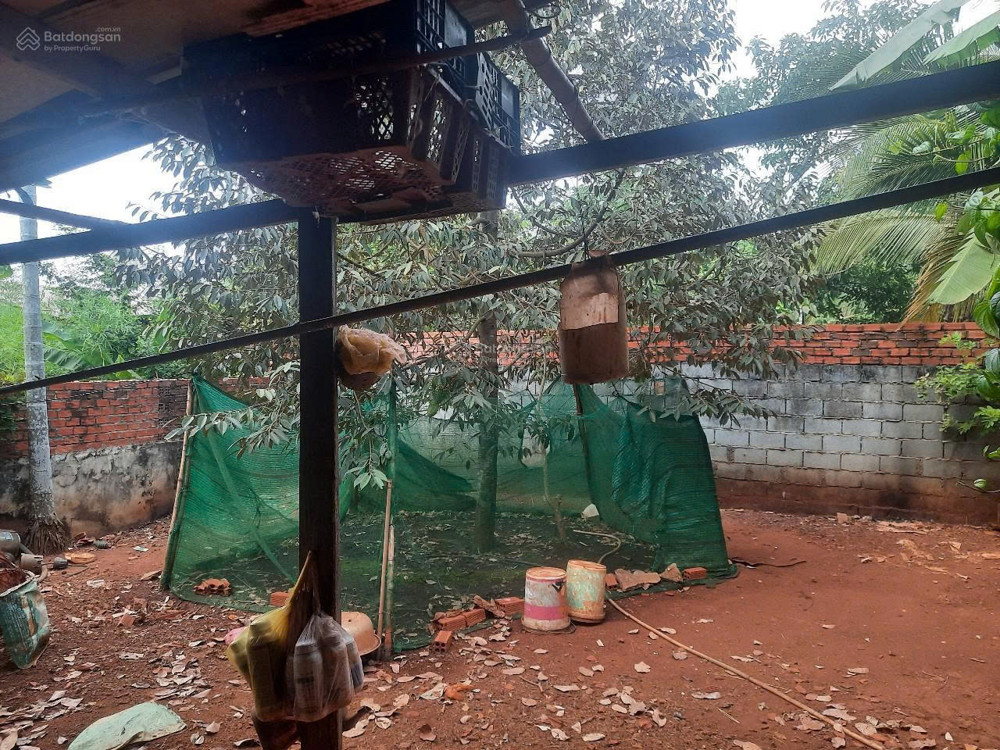 Giảm mạnh Bán nhanh nhà riêng sát bên chùa Phật Quốc Vạn Thành