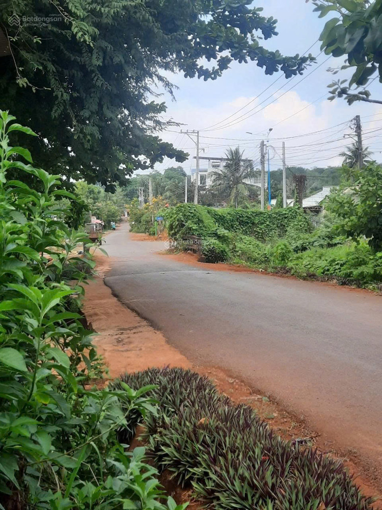 Giảm mạnh Bán nhanh nhà riêng sát bên chùa Phật Quốc Vạn Thành