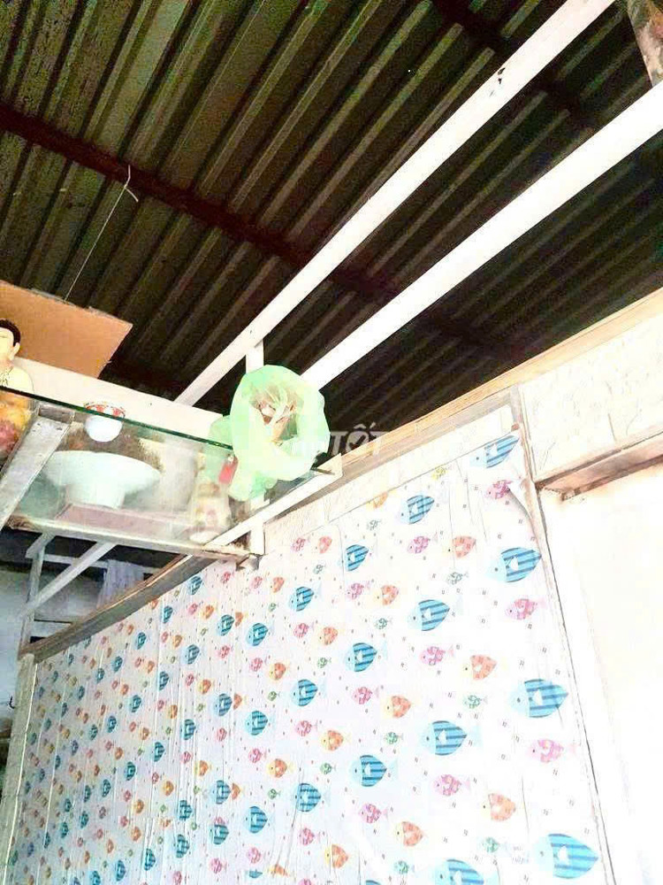 Chính chủ cho thuê nhà trọ tại 19 Thái Thị Nhạn, Phường 10, Quận Tân Bình