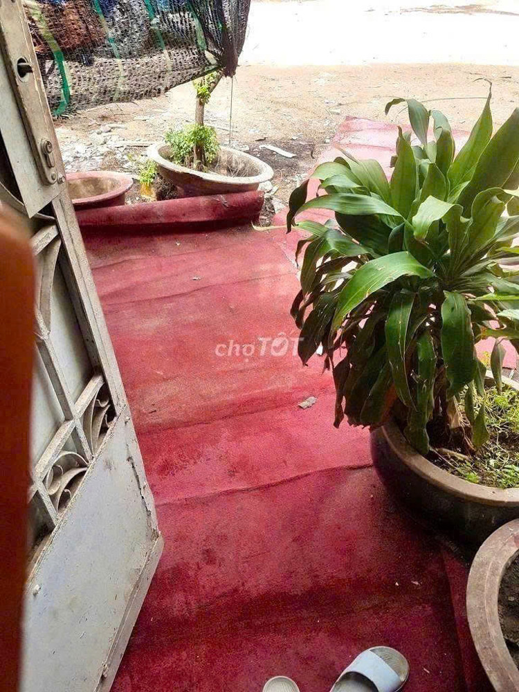 Chính chủ cho thuê nhà trọ tại 19 Thái Thị Nhạn, Phường 10, Quận Tân Bình