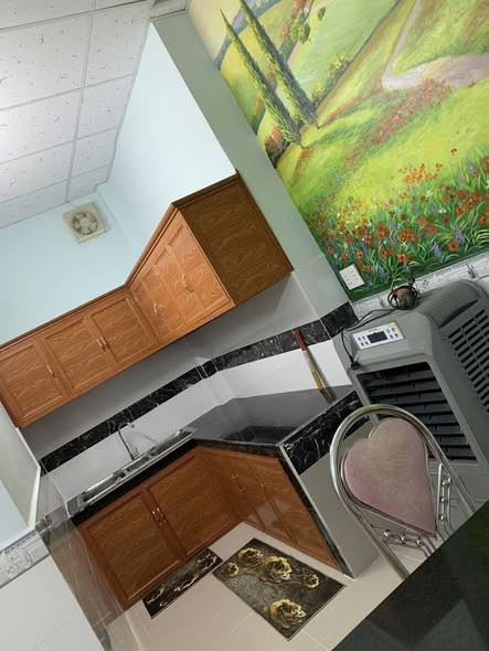 Nhà Đường Kênh Tân Hóa Quận Tân Phú Phường Phú Trung Cũ