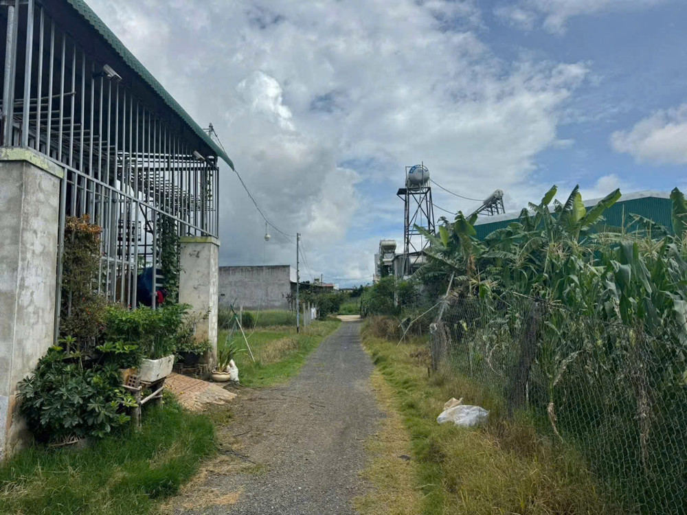 BÁN LÔ ĐẤT THỔ CƯ - HẺM THỐNG NHẤT - PHÚ HỘI - GIÁ TỐT KHU VỰC