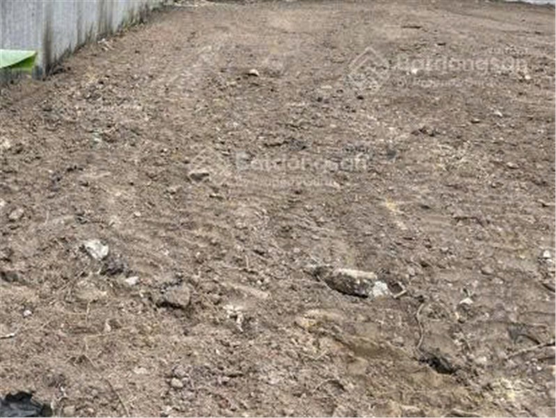 CẦN CHO THUÊ LÔ ĐẤT nông nghiệp để trồng trọt, chăn nuôi TẠI Xã Phạm Văn Hai, Bình Chánh, HCM