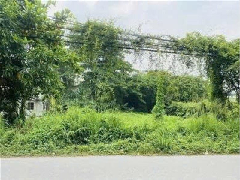 CẦN CHO THUÊ LÔ ĐẤT nông nghiệp để trồng trọt, chăn nuôi TẠI Xã Phạm Văn Hai, Bình Chánh, HCM