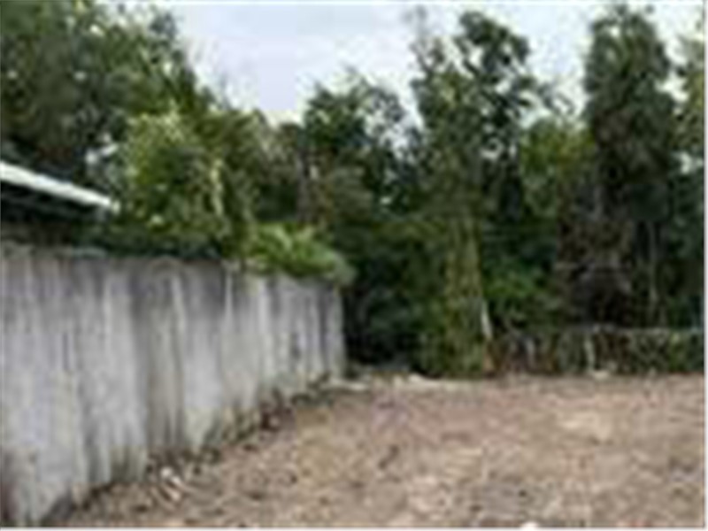 CẦN CHO THUÊ LÔ ĐẤT nông nghiệp để trồng trọt, chăn nuôi TẠI Xã Phạm Văn Hai, Bình Chánh, HCM