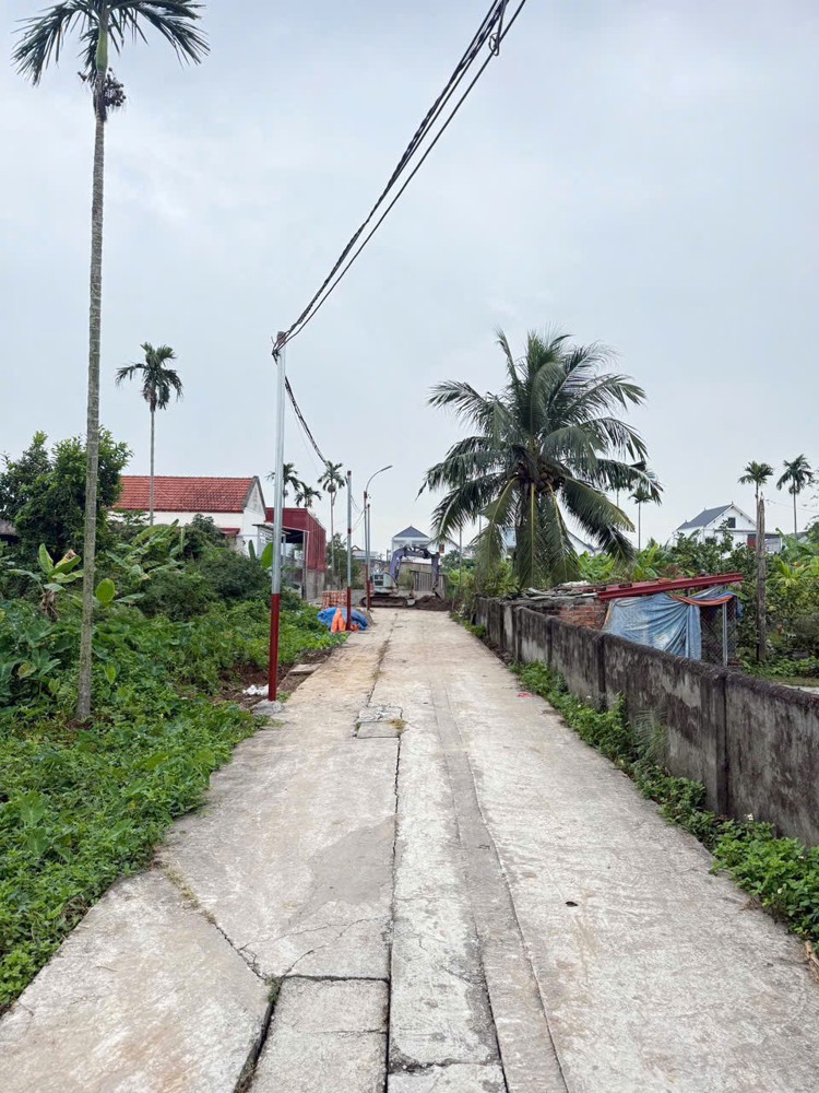 MỞ BÁN F0 HỢP ĐỨC – LÔ >50M²  NGÕ Ô TÔ ĐỖ CỬA – HÀNG HIẾM ĐỒ SƠN  ZALO 0567 222 555