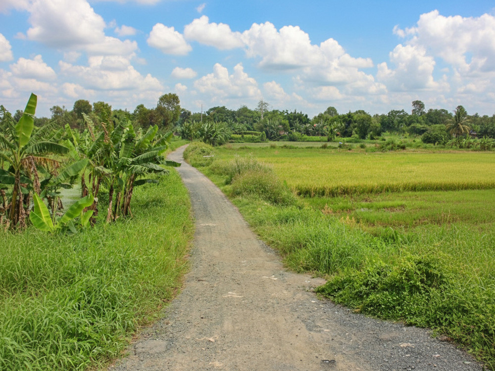 D1751 ⚡️ đất Thạnh Xuân 52 Hóc Môn, SHR, HXT, 26x46m, 5.x tỷ