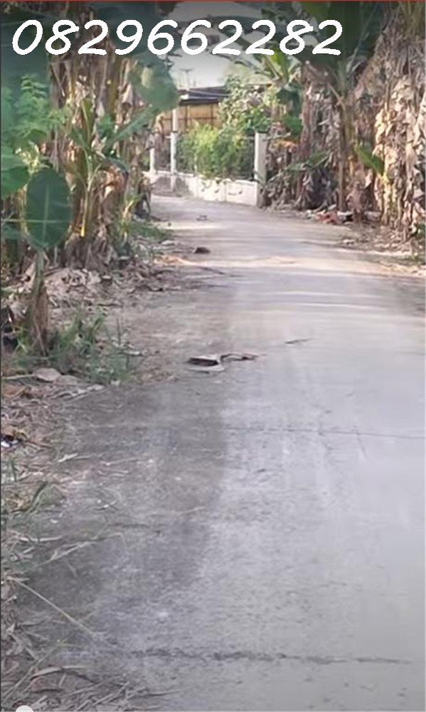 Bán Đất Nông Nghiệp 4678m2 Sổ Hồng MT 5m Đường Tám Sáng, Tân Bình, Châu Thành, Đồng Tháp. Giá 1.5