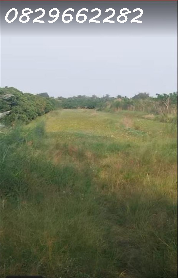 Bán Đất Nông Nghiệp 4678m2 Sổ Hồng MT 5m Đường Tám Sáng, Tân Bình, Châu Thành, Đồng Tháp. Giá 1.5