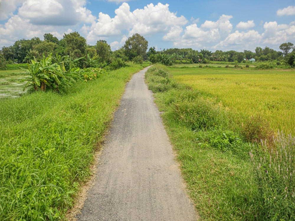 H1752 💥 đất Thạnh Xuân 52 Hóc Môn, SHR, HXT, 41x55m, 14.x tỷ