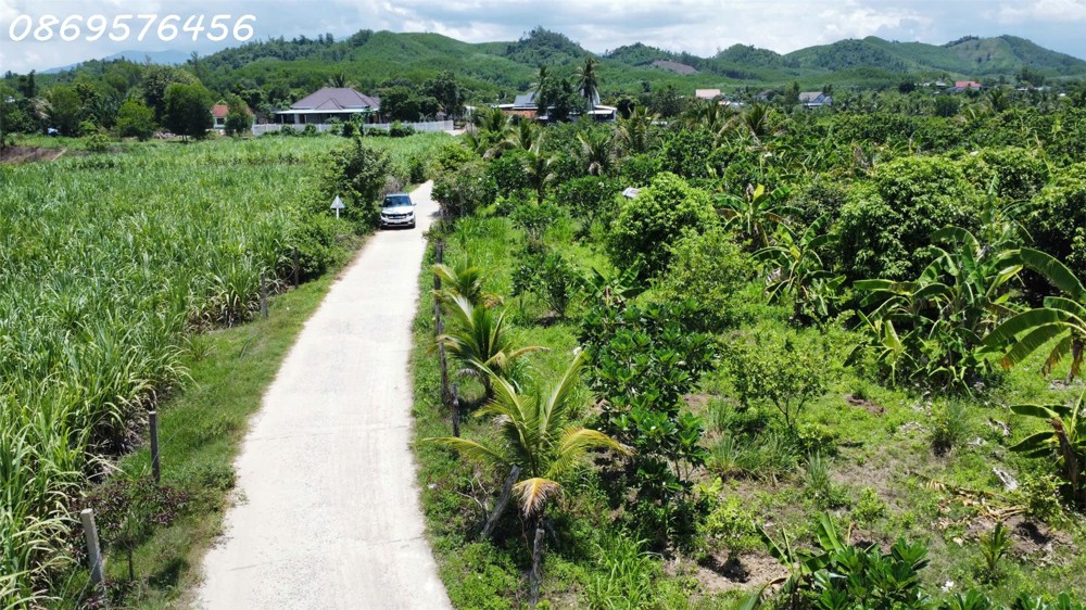 Cần Bán Đất Vườn Giá Rẻ Tại Khánh Hoà