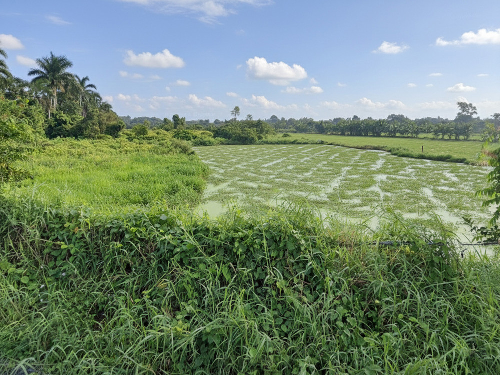 K1754 ✨ đất Mặt tiền Thạnh Xuân 52 Hóc Môn, SHR, 24x51m, 13.x tỷ