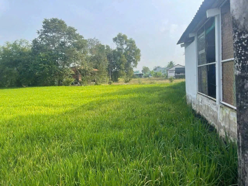 TÔI CHÍNH CHỦ BÁN ĐẤT LÔ ĐẤT XÃ CẦN ĐƯỚC, TỈNH TÂY NINH