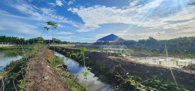 Gia đình chuyển về Sài Gòn sinh sống, không người trông coi, cần bán thửa ruộng