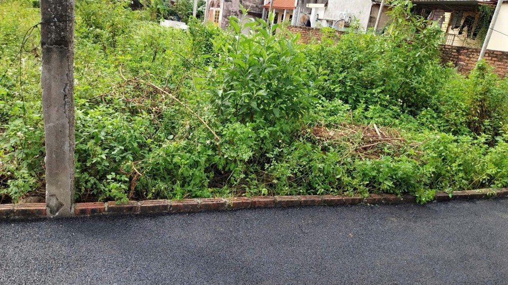 ĐẤT NAM ĐỒ SƠN – GẦN CHỢ QUYẾT TIẾN  71,7M² – GIÁ CHỈ 9XX TRIỆU  HÀNG DỄ THANH KHOẢN  ZALO 0567 222