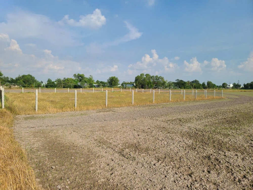 ĐẤT CHÍNH CHỦ - GIÁ TỐT - Cần Bán Tại Đường Giồng Lớn, Xã Mỹ Hạnh Nam, Huyện Đức Hòa, Long An