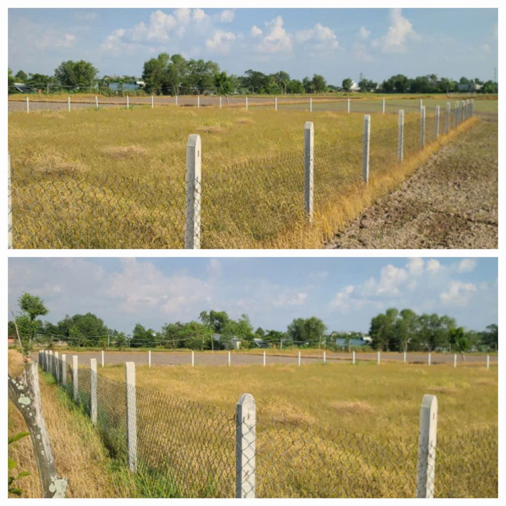 ĐẤT CHÍNH CHỦ - GIÁ TỐT - Cần Bán Tại Đường Giồng Lớn, Xã Mỹ Hạnh Nam, Huyện Đức Hòa, Long An