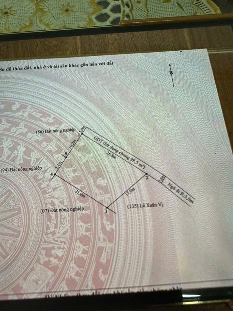 HÀNG KHỦNG HÒA NGHĨA DƯƠNG KINH – 800M² NHÀ VƯỜN – GIÁ 7.X TỶ – ĐẦU TƯ DÀI HẠN  ZALO 0567 222 555