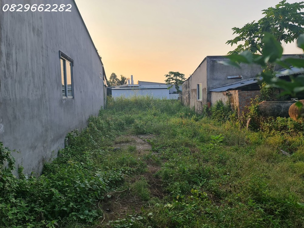 Bán Đất Thổ Cư Sổ Hồng 156m² đường Cai Dao, Tân Quy Đông, Sa Đéc, ĐTháp. Giá 1.35 Tỷ