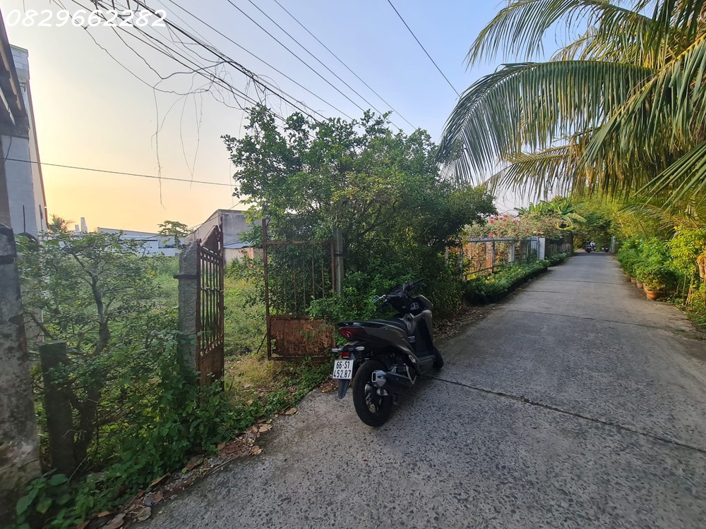 Bán Đất Thổ Cư Sổ Hồng 156m² đường Cai Dao, Tân Quy Đông, Sa Đéc, ĐTháp. Giá 1.35 Tỷ