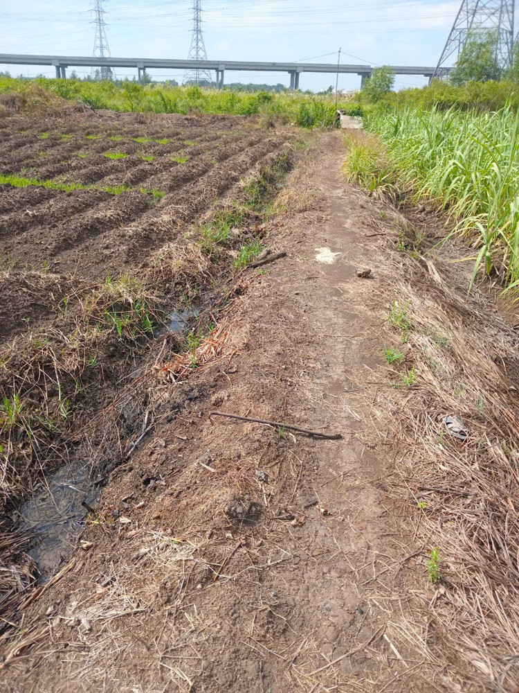 SIÊU PHẨM ĐẤT ĐẸP - Phù Hợp Cho Mọi Gia Đình