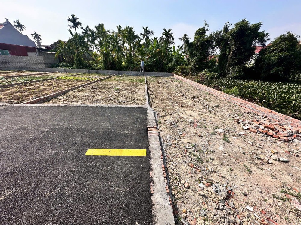 Đất Cốc Liễn – Minh Tân – Kiến Thụy  80M²  Ngõ 4M Nhựa  Giá 8Xx Triệu – Hàng Đón Sóng Khu Dân Cư