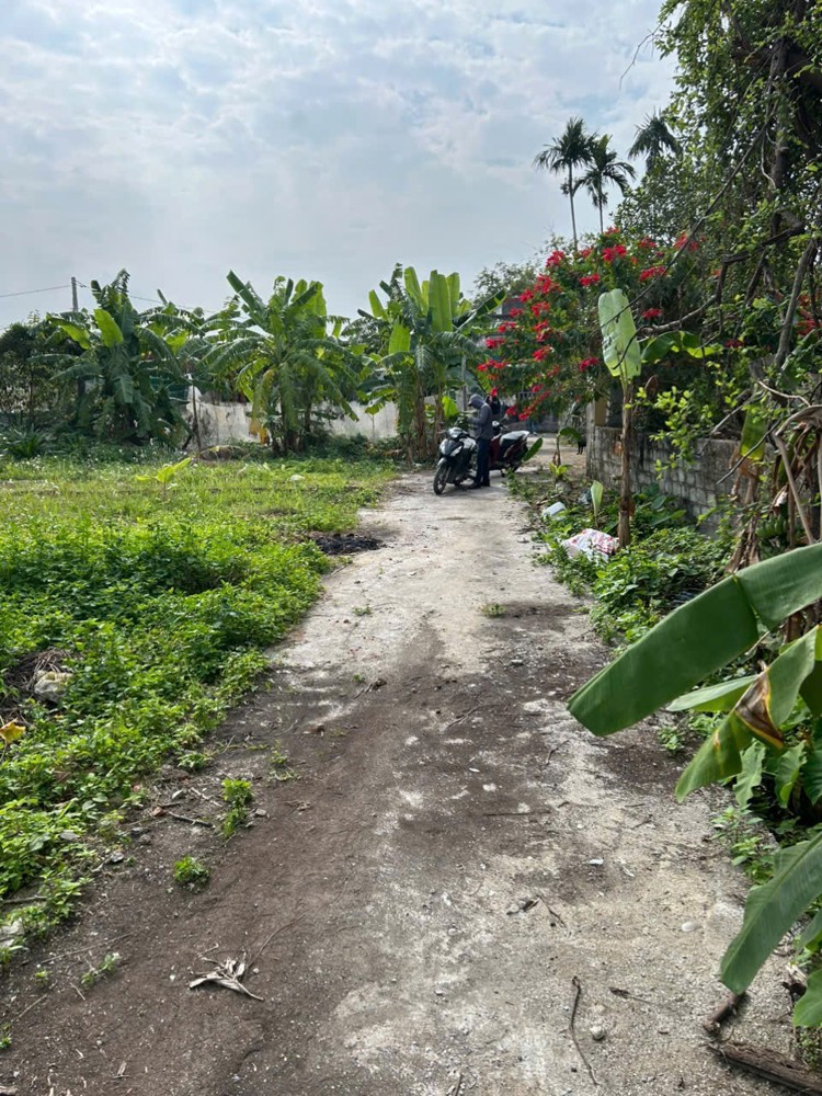 ĐẤT VŨ VỊ – MINH TÂN – KIẾN THỤY  66M²  NGÕ Ô TÔ  GIÁ 7XX TRIỆU – HIẾM QUỸ ĐẤT SÁT TRUNG TÂM XÃ