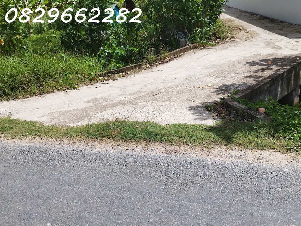 Bán đất Sổ Hồng 171m2 (7x25m) MT 7m H. Tây Bắc đường Tân Xuân, Châu Thành, Đồng Tháp. Giá 600 triệu