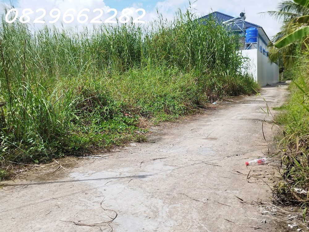 Bán đất Sổ Hồng 171m2 (7x25m) MT 7m H. Tây Bắc đường Tân Xuân, Châu Thành, Đồng Tháp. Giá 600 triệu