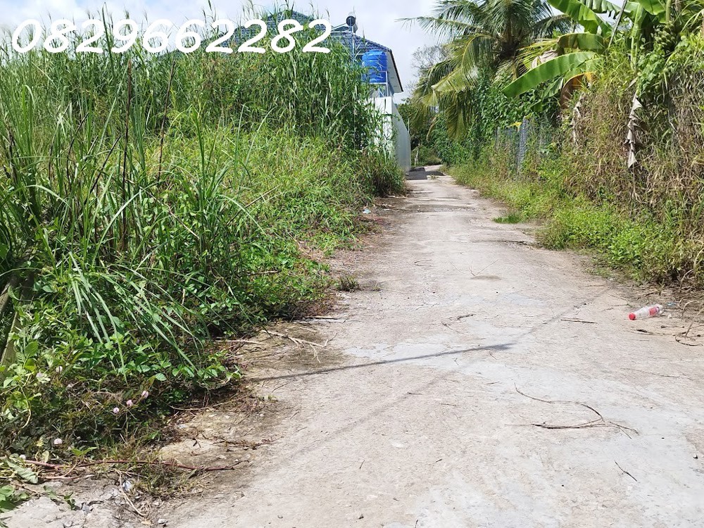 Bán đất Sổ Hồng 171m2 (7x25m) MT 7m H. Tây Bắc đường Tân Xuân, Châu Thành, Đồng Tháp. Giá 600 triệu