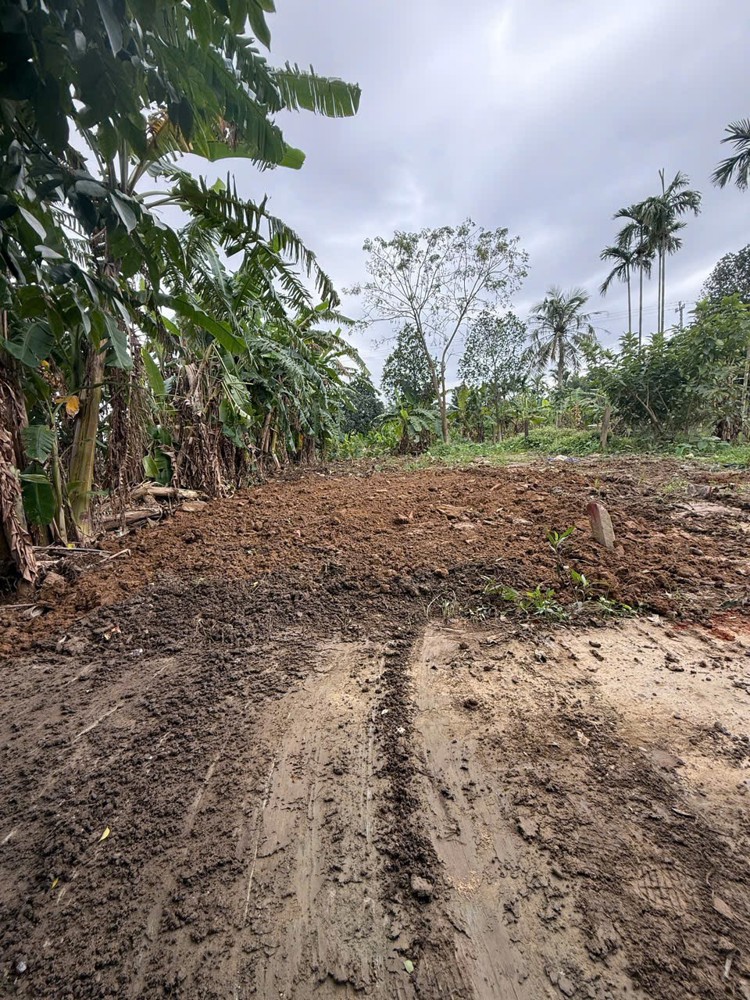 ĐẤT ĐẸP- GIÁ TỐT - Cần Bán Lô ĐấtTại thôn Mỹ An, xã Đại Quang, Đại Lộc, Quảng Nam