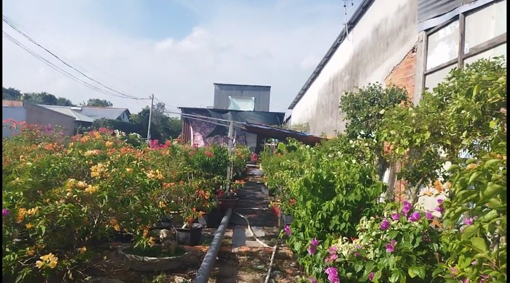 Bán đất thổ cư 196m2 Sổ Hồng Làng Hoa, Tân Quy Đông, TP. Sa Đéc, Đồng Tháp. Giá 3.2 tỷ. Hướng Tây