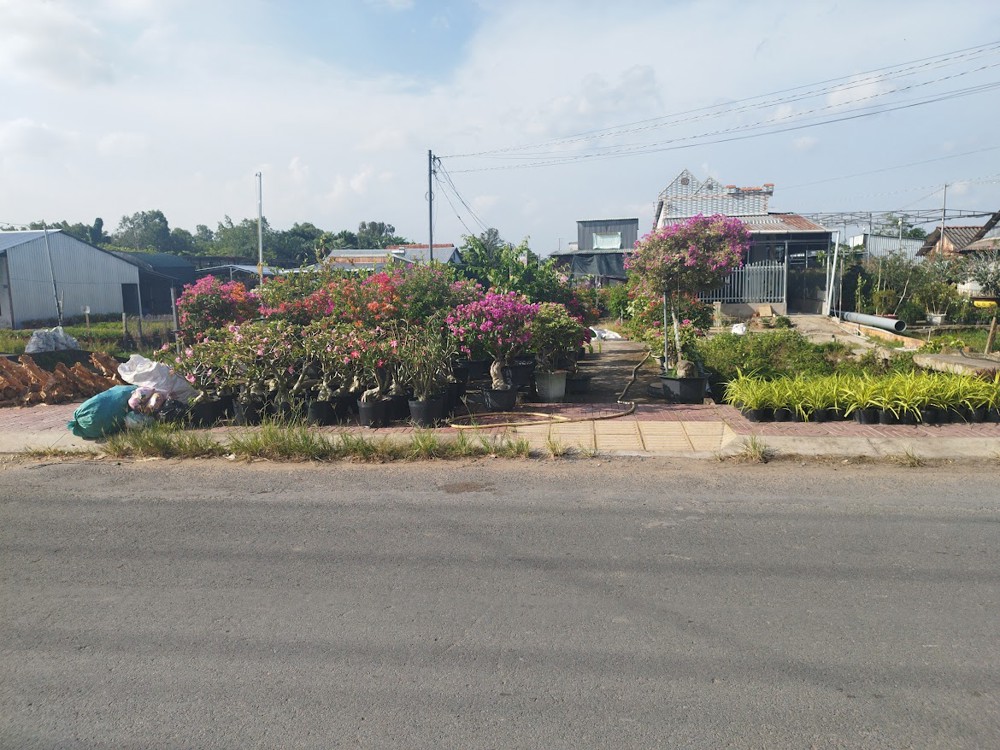 Bán đất thổ cư 196m2 Sổ Hồng Làng Hoa, Tân Quy Đông, TP. Sa Đéc, Đồng Tháp. Giá 3.2 tỷ. Hướng Tây