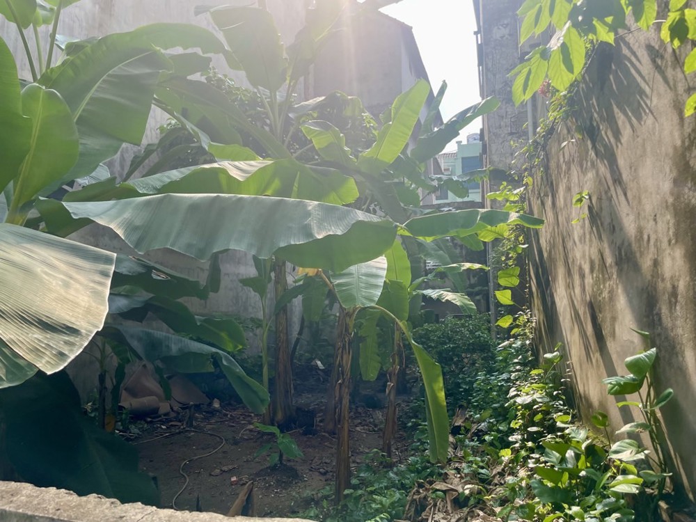 Bán đất ngõ 193 Bồ Đề 89m x 6m6 1 nhà ra oto thông, giá đầu tư