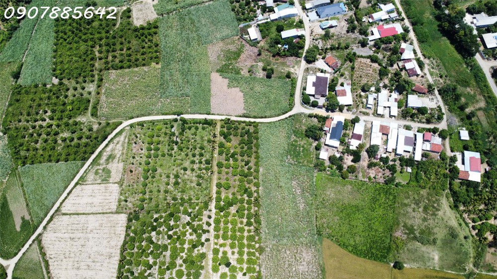 BÁN ĐẤT VƯỜN CHỈ 380 TRIỆU CHO 1.000 MÉT TẠI KHÁNH HOÀ